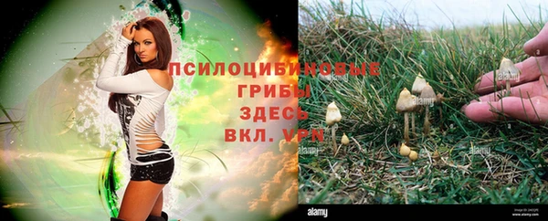 кокаин перу Арсеньев