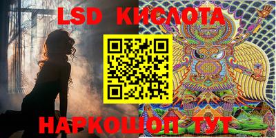 PSILOCYBIN Балаково