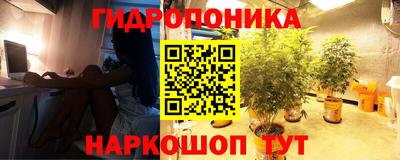 PSILOCYBIN Балаково