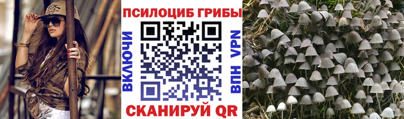 ссылка на мегу ТОР  Верхняя Салда  Псилоцибиновые грибы Magic Shrooms 