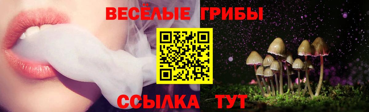 Псилоцибиновые грибы прущие грибы Верхняя Салда