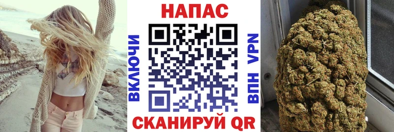 Шишки марихуана семена где купить mega вход Верхняя Салда